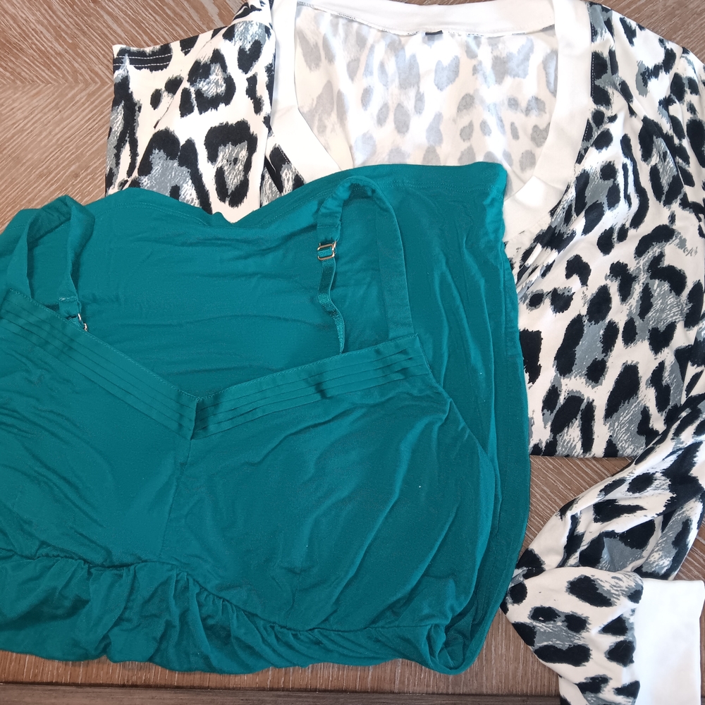 KAREN'S Teal Top And Leopard V Neck